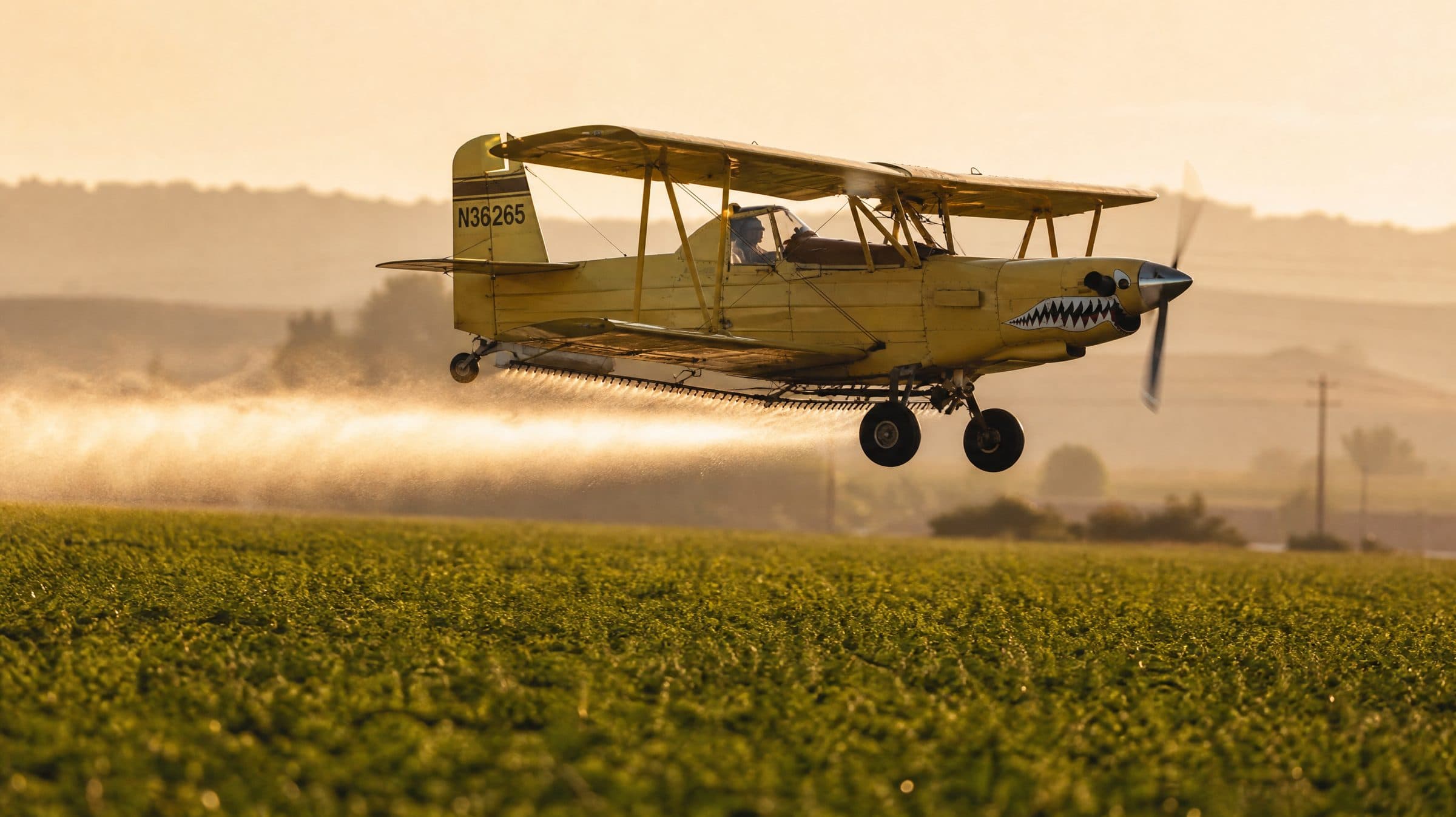 Ag Cat biplane making a low, even spray pass over a green row crop